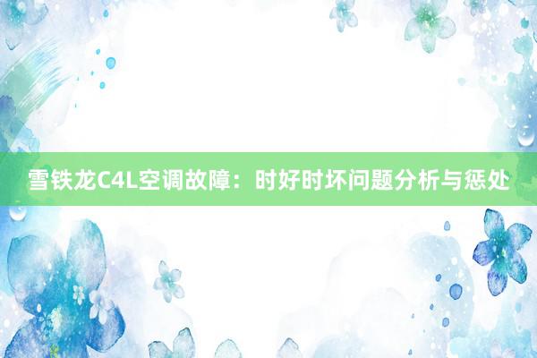 雪铁龙C4L空调故障：时好时坏问题分析与惩处